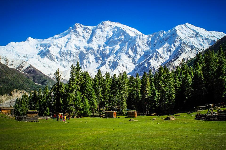 Fairy Meadows